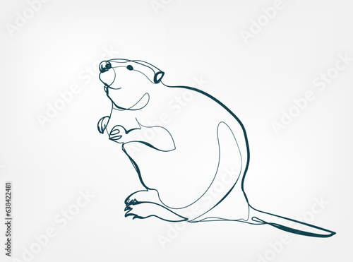 beaver vector line art animal wild life single one line hand drawn illustration isolated