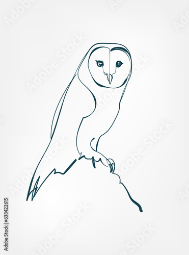 owl vector line art animal wild life single one line hand drawn illustration isolated