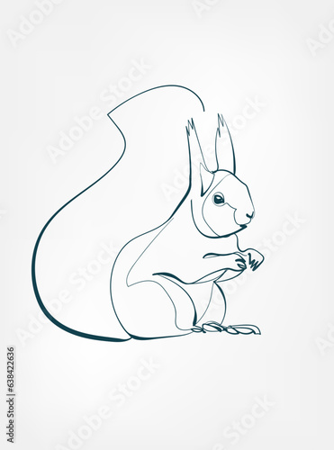 squirrel vector line art animal wild life single one line hand drawn illustration isolated