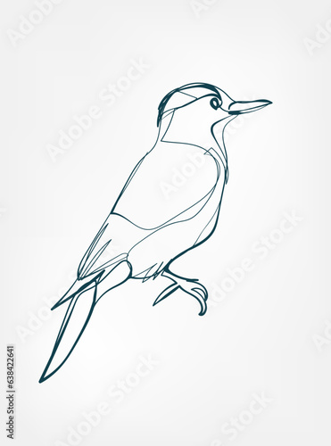 woodpecker vector line art animal wild life single one line hand drawn illustration isolated