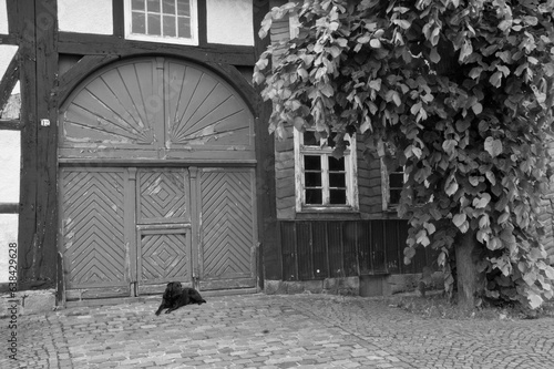 Altes Haus mit Schieferwänden photo