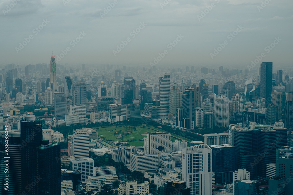 The city of Bangkok in Thailand seen from above. Panorama. Landscape.