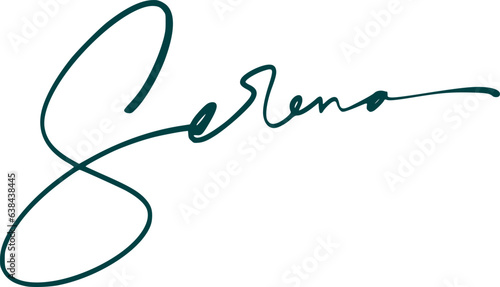 signature series S design illustration