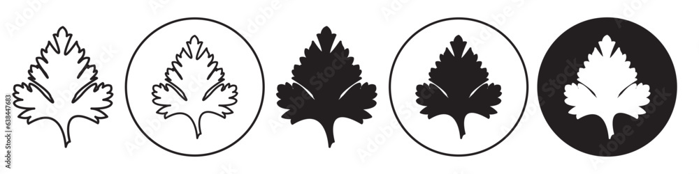 Parsley Leaf Icon. Coriander leaves symbol in vector outline style. Flat set of cilantro verdure branch. Logo of natural organic seasoning spice herb stem used in cooking food.