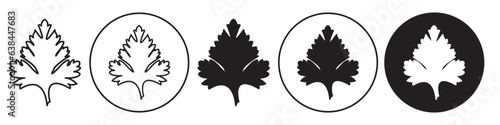 Parsley Leaf Icon. Coriander leaves symbol in vector outline style. Flat set of cilantro verdure branch. Logo of natural organic seasoning spice herb stem used in cooking food. photo