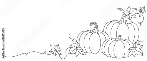 pumpkins line art style. halloween and thanksgiving elements vector.