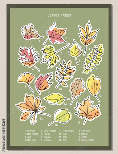 Poster with autumn leaves. Stickers leaves of maple, oak, chestnut, acacia, ash, ginkgo, alder, poplar, beech, elm.  Wall art, decor, card, cover, template. Pastel colors. Vector.