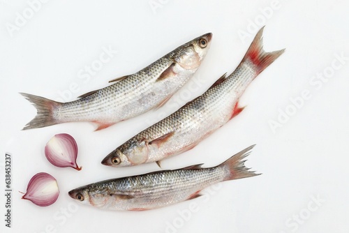 Three fish, on a white background, mullet, sea fish, seafood, free space, place for text, top view photo