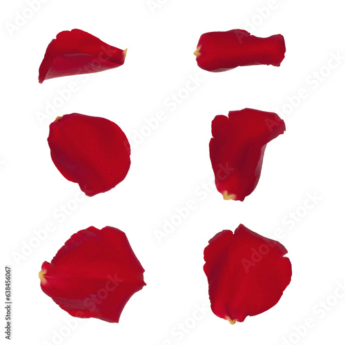 Rose Petal Red png. Rose isolated on white background, Red rose petals isolated cutout. rose petals frame