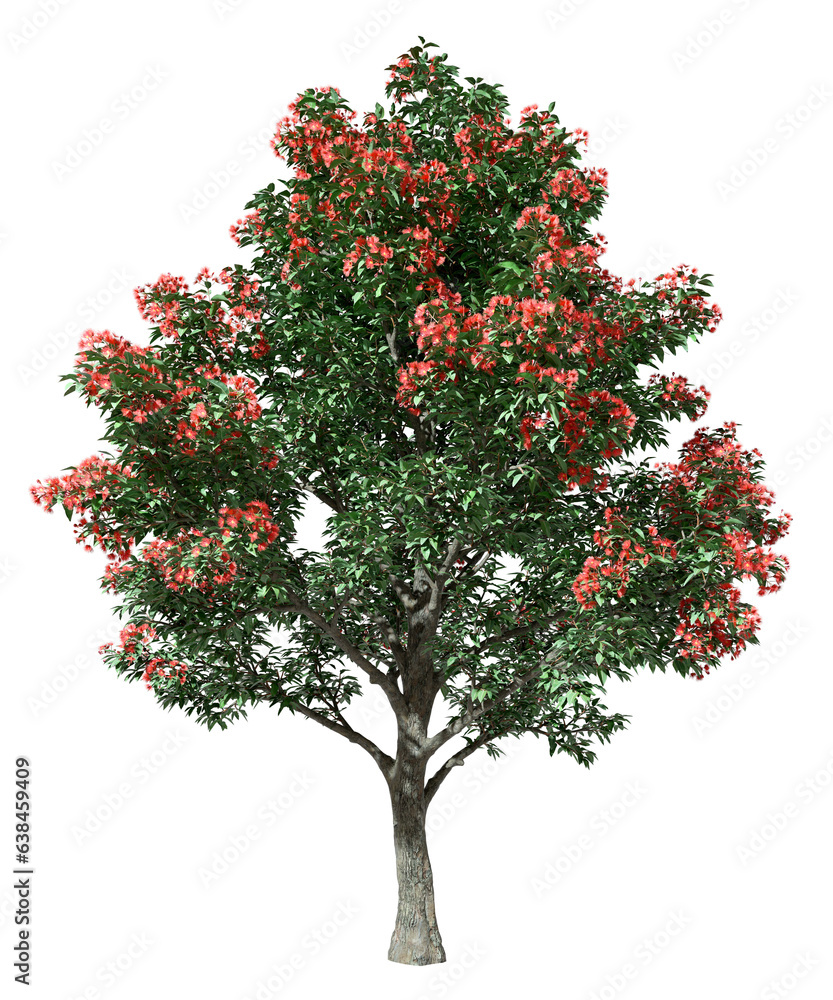 Tropics tree leaves with red flowery blossoming growth 3d render png