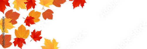 Autumn leaves background. Template design for poster, banner, flyer, card. Vector illustration