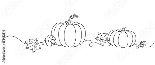 pumpkins line art style. halloween and thanksgiving elements vector.