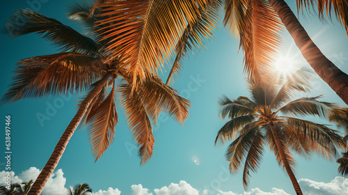 椰子の木と青い空のビンテージ加工写真 © Hanako ITO