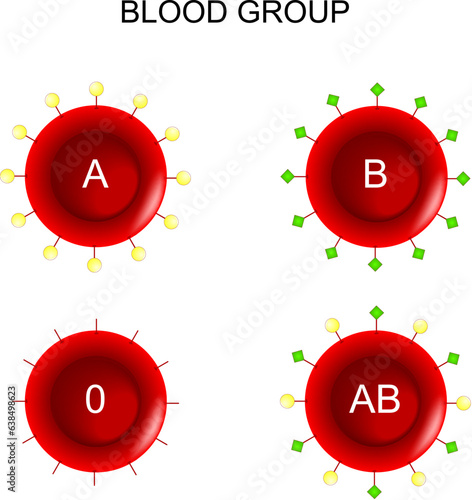 Blood type. blood group