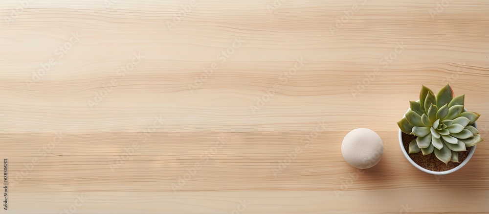 Top view of minimalist room with succulent on wood table featuring copy space Top view of minimalist room with succulent on wood table featuring copy space