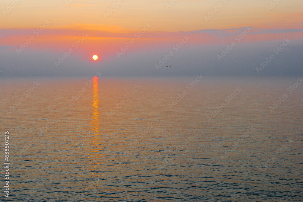pomarańczowy zachód słońca nad horyzontem - obrazy, fototapety, plakaty 