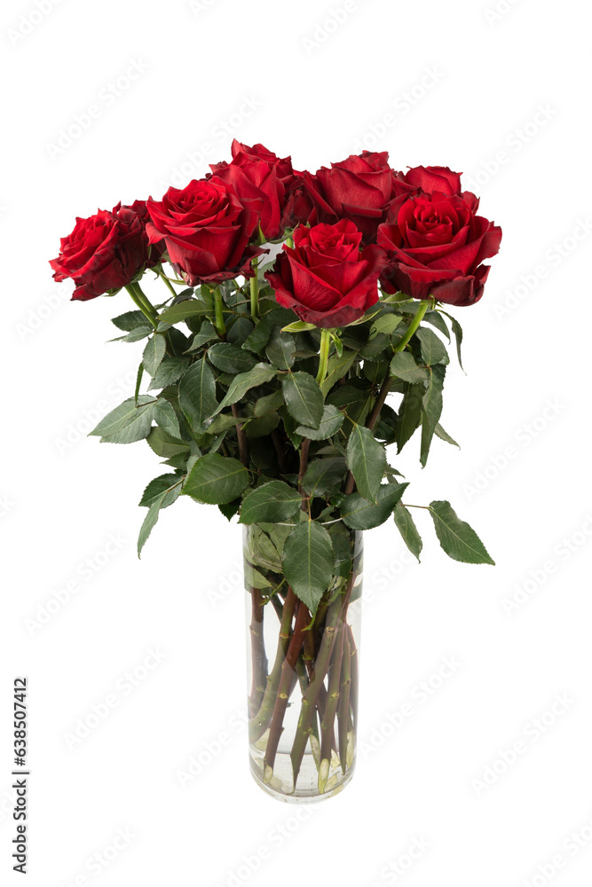 seven red roses in a glaass vase seven red roses in a glaass vase