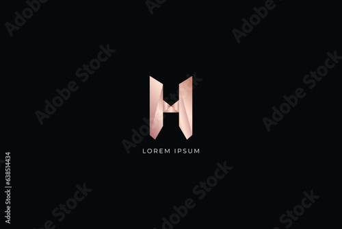 H letter fashion brand design modern style creative golden wordmark design typography illustration, h wordmark, h logo