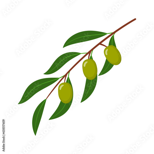 Green olives on a branch flat vector illustration