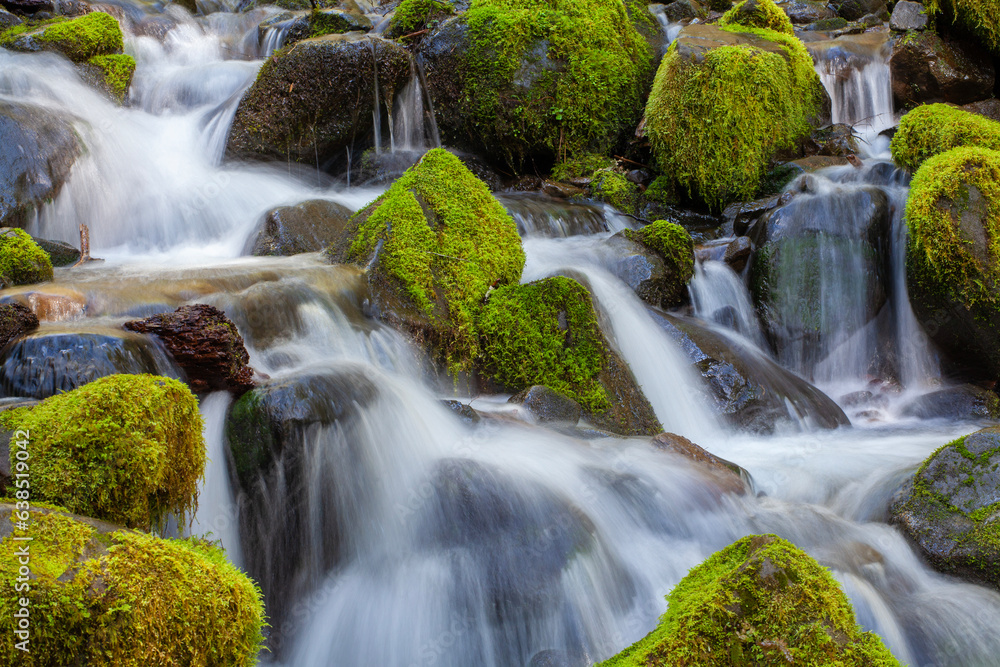 Closeup of water flowing surrounded by moss-covered rocks in Olympic National Park in Washington state
Closeup of water flowing surrounded by moss-covered rocks in Olympic National Park in Washington state
