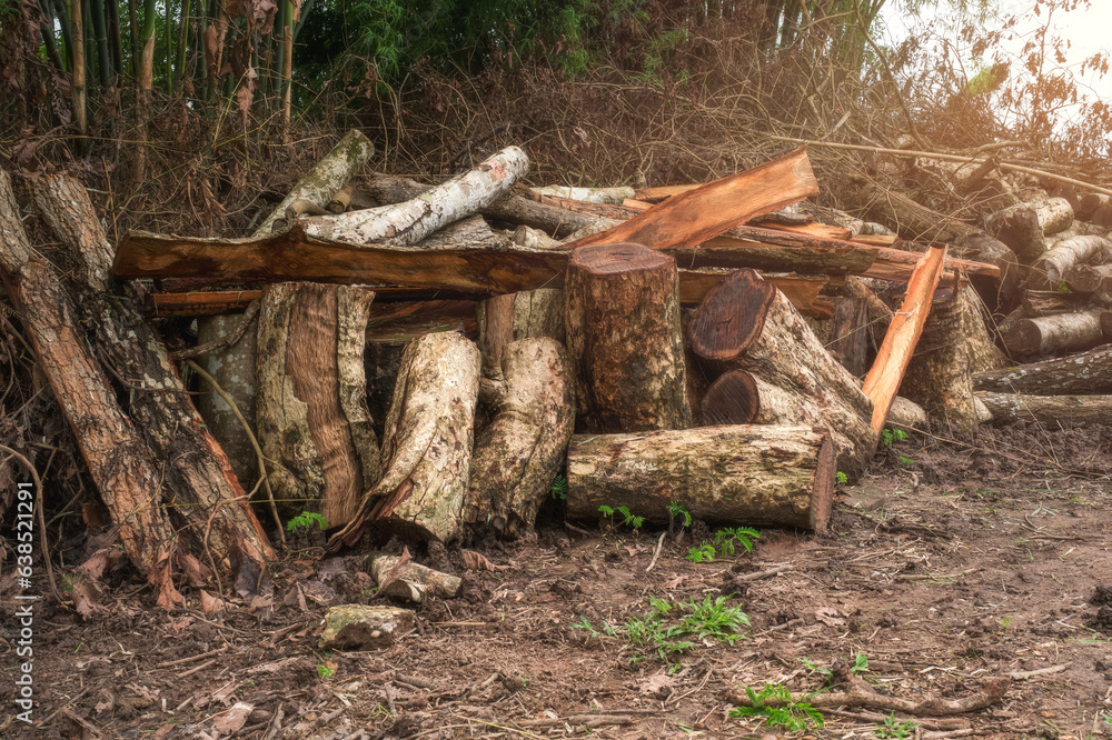 Deforestation due to expanding agricultural areas Affects the weather and global warming. Deforestation due to expanding agricultural areas Affects the weather and global warming.