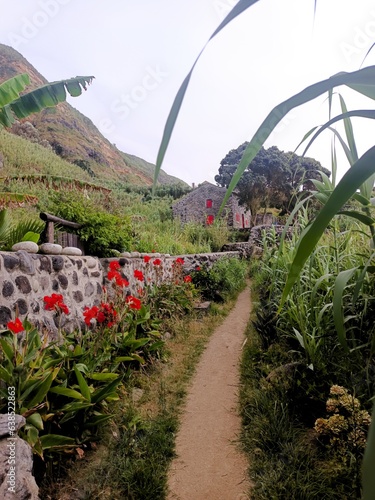 Camino de flores rojas y preciosa casita al final de ventanas rojas. Colección Atlántico Ponta Delgada Las Azores (Portugal)  photo