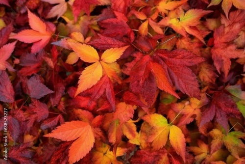 Background of vibrant autumnal foliage for online presentations and websites. Generative AI