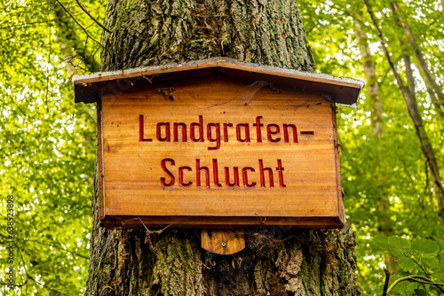 Sommerwanderung durch die Drachenschlucht in der Nähe von Eisenach - Thüringen - Deutschland photo