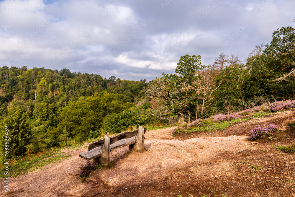 Sommerwanderung durch die Drachenschlucht in der Nähe von Eisenach - Thüringen - Deutschland Sommerwanderung durch die Drachenschlucht in der Nähe von Eisenach - Thüringen - Deutschland