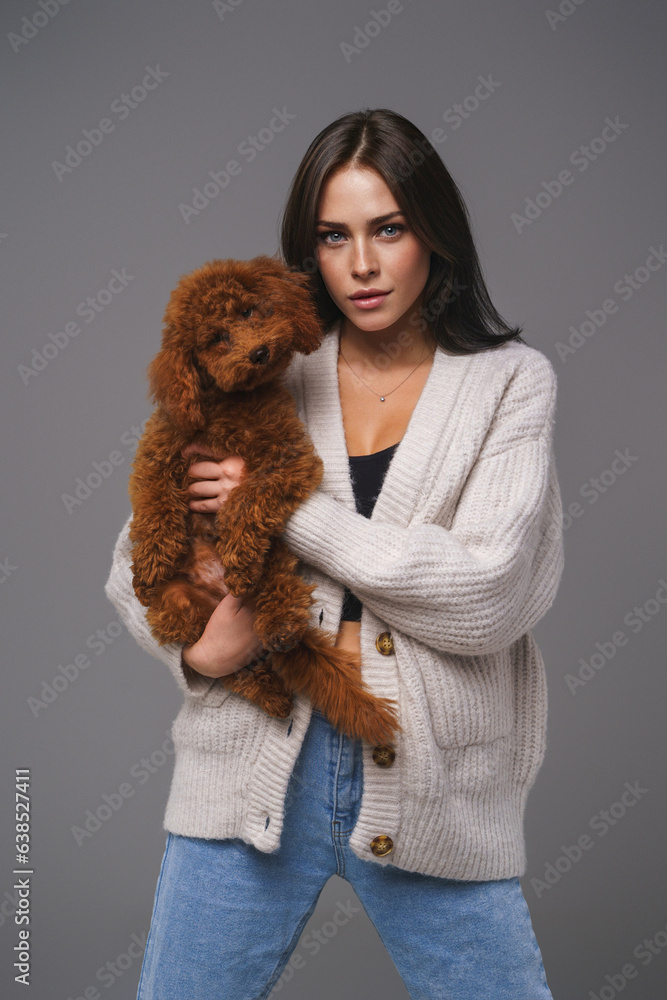 Charming girl in a white sweater holding her beloved brown toy poodle against a gray studio backdrop Charming girl in a white sweater holding her beloved brown toy poodle against a gray studio backdrop