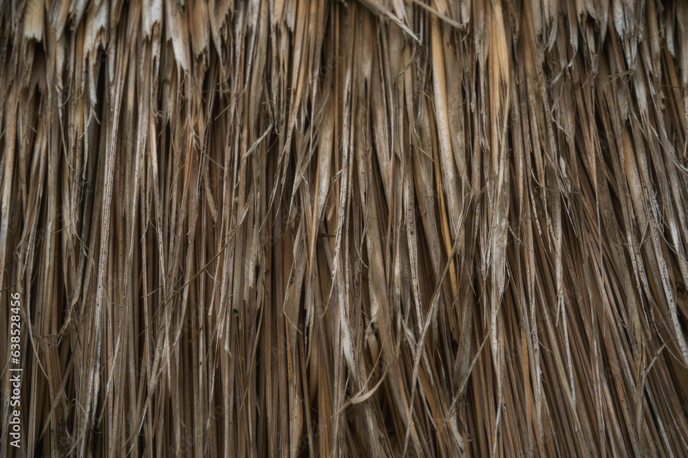 Background texture of dried grass that has been bundled together in a sheet. Background texture of dried grass that has been bundled together in a sheet.