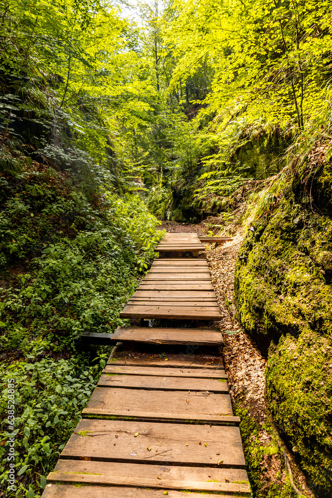 Fototapeta premium Sommerwanderung durch die Drachenschlucht in der Nähe von Eisenach - Thüringen - Deutschland