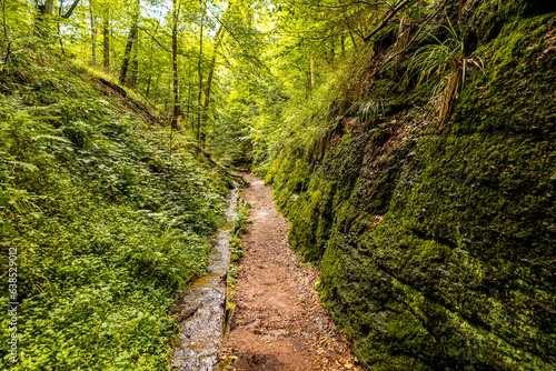 Sommerwanderung durch die Drachenschlucht in der Nähe von Eisenach - Thüringen - Deutschland © Oliver Hlavaty