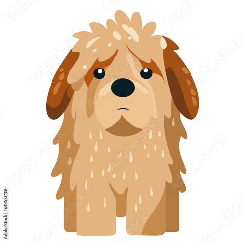 Wet dog, flat style stock vector illustration, Wet Shih Tzu dog stock vector image, unhappy sad dog dripping water, flat vector