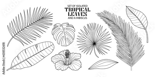 Set of isolated tropical leaves in 8 styles and a hibiscus. Illustration of botanical in black outline and white plane on transparent background.