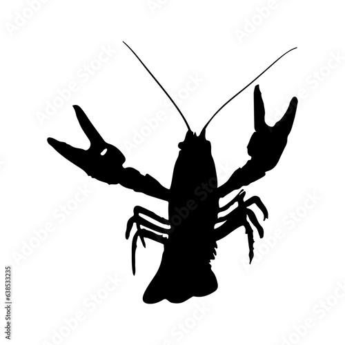 silhouette of lobsters