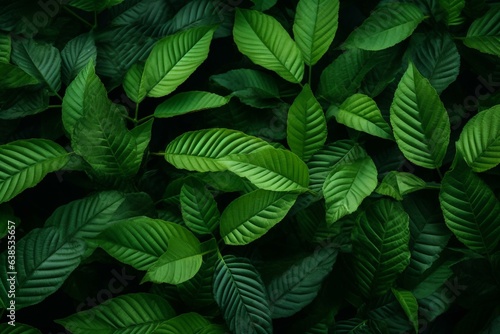 Green leafy background showcasing kratom tree and dark medicinal plant leaves. Generative AI