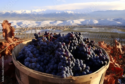 Harvested red tempranillo grapes, La Rioja vineyards in winter. Generative AI