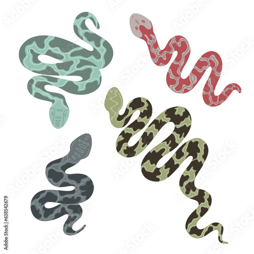 Vector set of python. Isolated tropical snakes