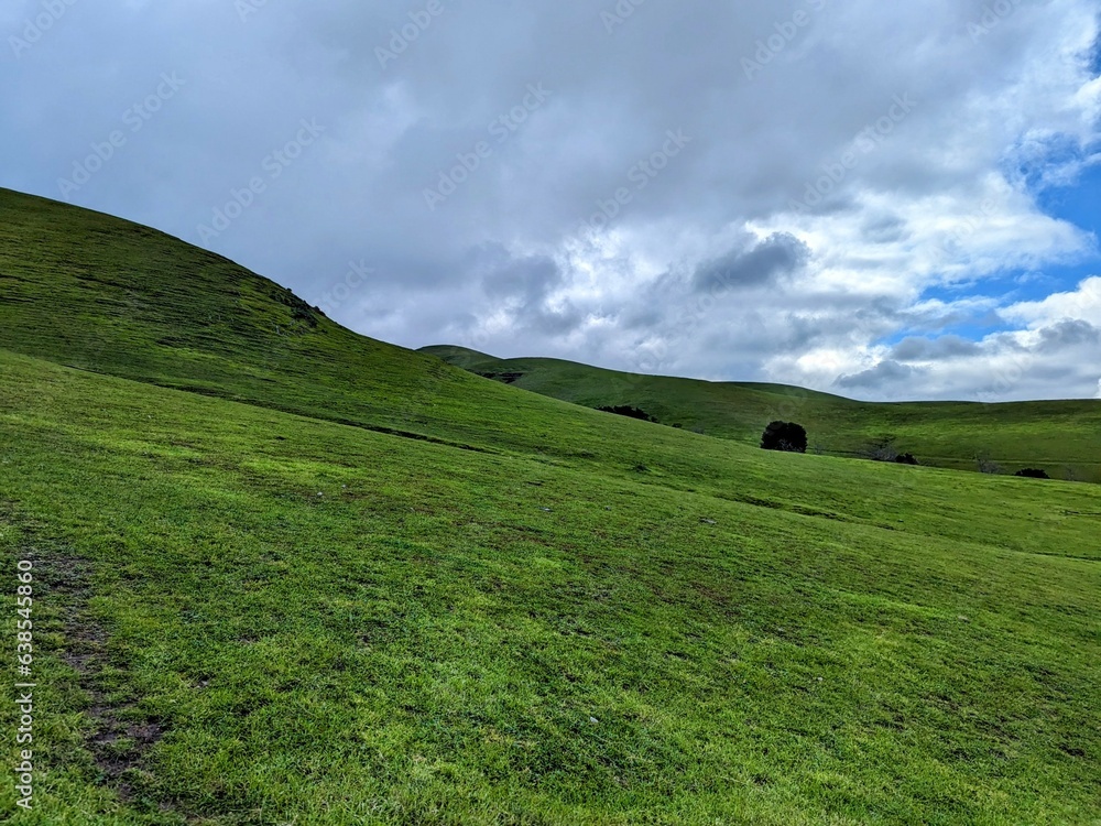 Fototapeta premium field and blue sky
