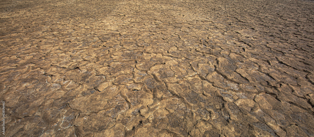 dry cracked soil surface,Panorama of cracked brown soil, barren wasteland surface natural background with deep focus dry cracked soil surface,Panorama of cracked brown soil, barren wasteland surface natural background with deep focus