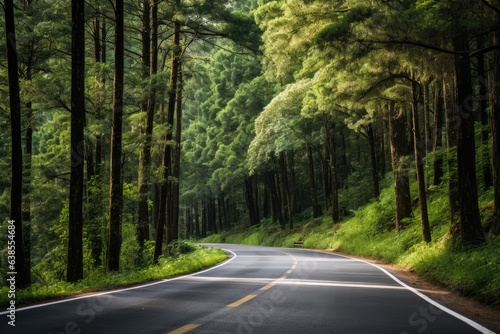 Driving on Open Road in Beautiful Mountain Forest