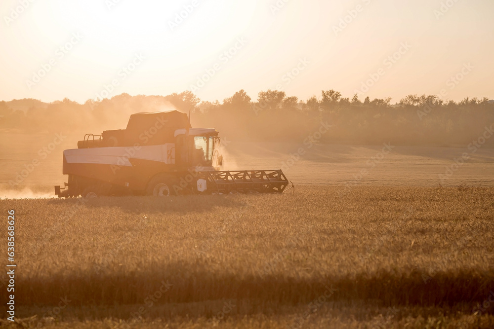 Naklejka premium Agricultural machinery. Agricultural industry. The combine harvester removes ears of ripe wheat against the background of a ripening field. The concept of planting and harvesting a rich harvest. 