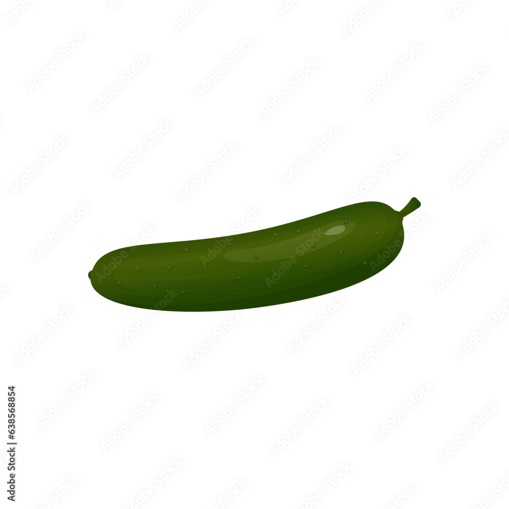 green cucumber on white background.vegetable vector illustration green cucumber on white background.vegetable vector illustration
