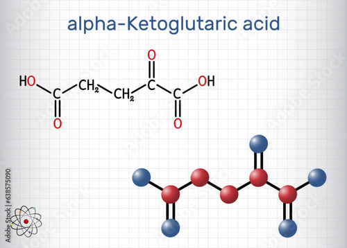 Alpha-ketoglutaric acid, 2-oxoglutaric acid, oxoglutarate, alpha ketoglutarate  molecule. It is intermediate metabolite in Krebs cycle. Sheet of paper in a cage. Structural chemical formula, molecule 