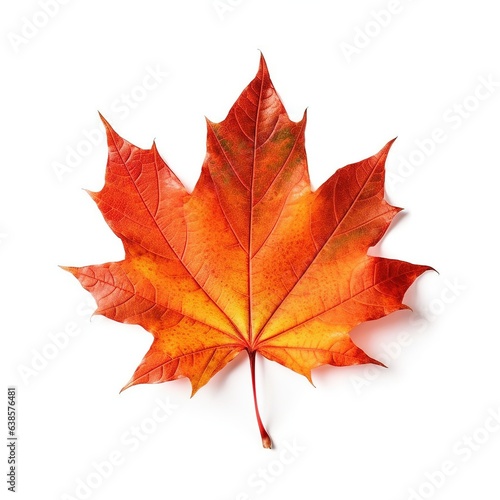 Wallpaper Mural Red maple leaf on white isolated background. AI generation Torontodigital.ca