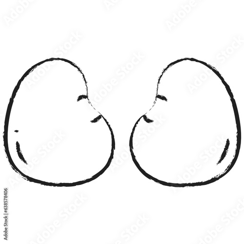 Hand drawn Chicken kidney icon