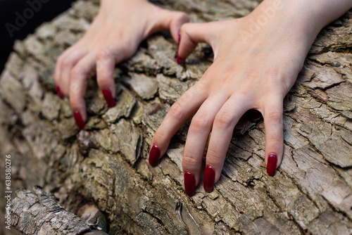 The hands of a pale-skinned young girl with long, red-lacquered nails dig into the bark of a tree. Grab a tree with beautiful manicured nails