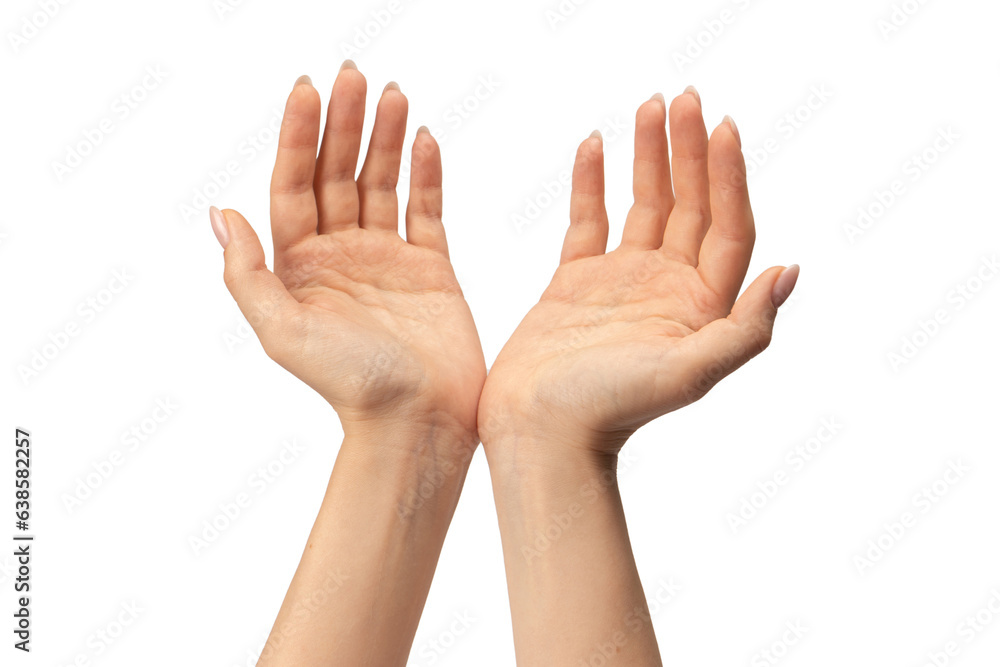 Woman hand isolated on a white background. Woman hand isolated on a white background.