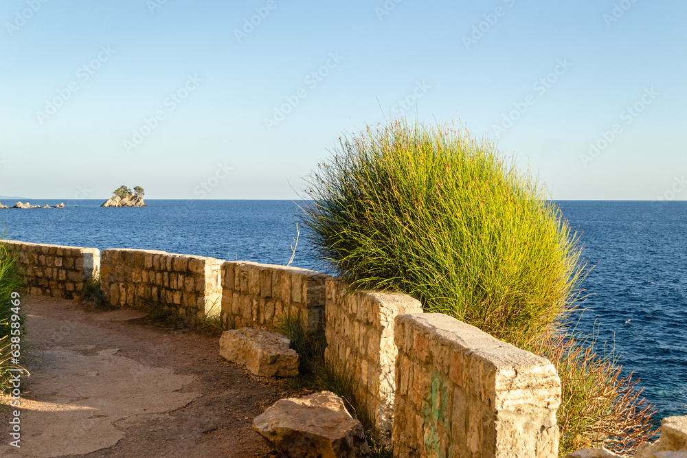 Fototapeta premium Sunlit cliffs, covered with branches of evergreen trees, in Petrovac na Moru, Montenegro.